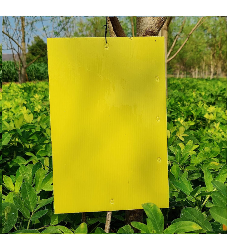 Arable Acres Sticky Insect Traps